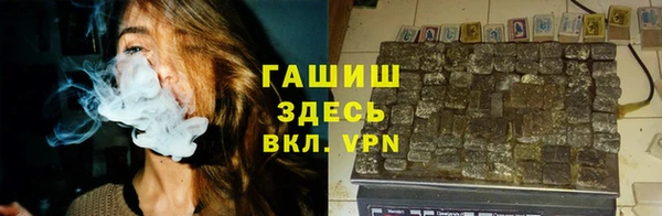 индика Снежногорск