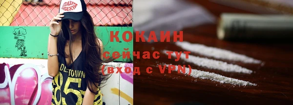 индика Снежногорск