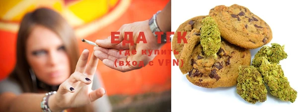 индика Снежногорск
