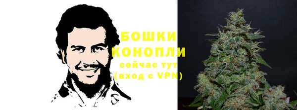 гидра Снежинск
