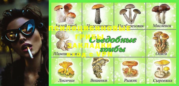 индика Снежногорск
