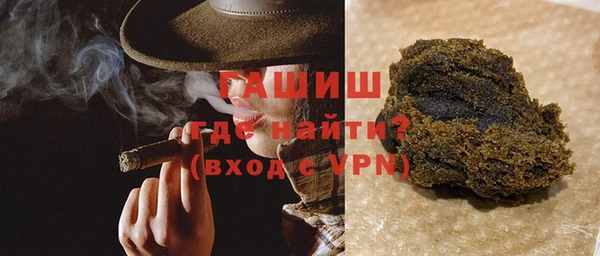 индика Снежногорск