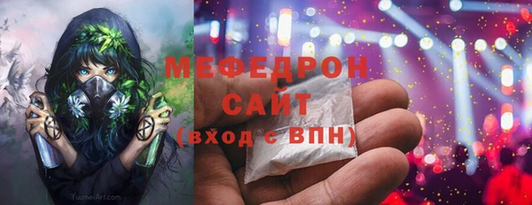 индика Снежногорск