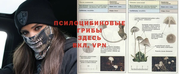 марки nbome Ижевск