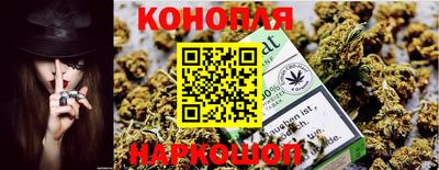 кокс Можга