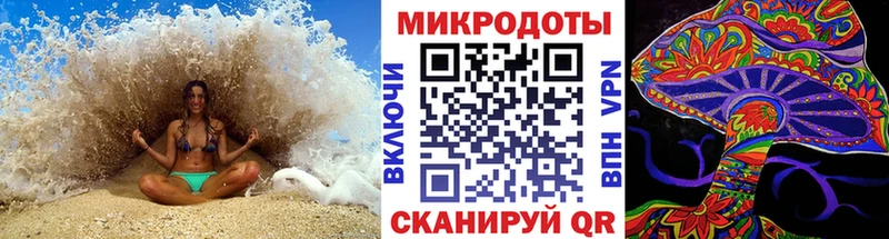 Псилоцибиновые грибы MAGIC MUSHROOMS  как найти закладки  Усть-Джегута 
