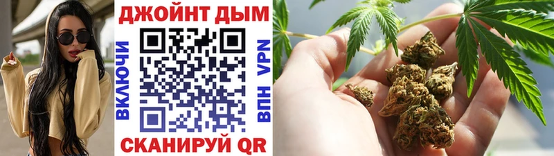 МАРИХУАНА сатива  Усть-Джегута 